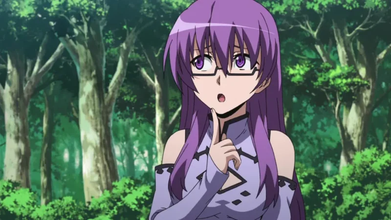 Akame Ga Kill