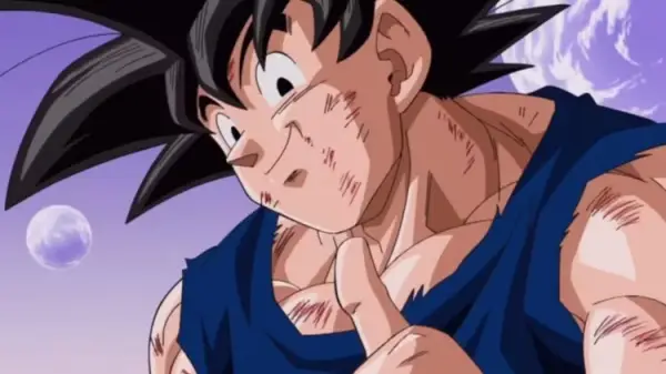 Goku usagi 1985471752 bakanime.net w600 q70